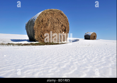 Ein Bauernhof Stroh Heuballen im Schnee auf Exmoor vor blauem Himmel Stockfoto