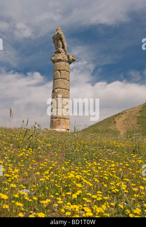 Adler-Statue in der Mound Nemrut Türkei Stockfoto