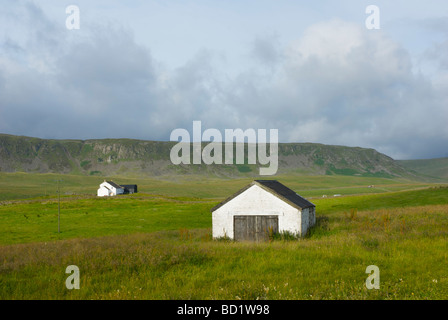 Traditionelles Bauernhaus und Scheune, obere Teesdale, County Durham, England UK Stockfoto