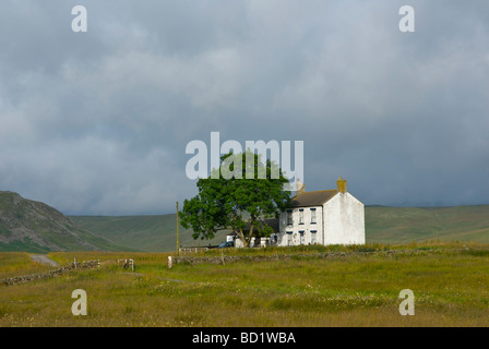 Traditionelles Bauernhaus, obere Teesdale, County Durham, England UK Stockfoto