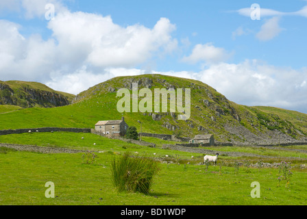 Bauernhaus und Holwick Narben, obere Teesdale, County Durham, England UK Stockfoto