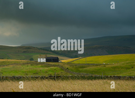 Traditionelles Bauernhaus, obere Teesdale, County Durham, England UK Stockfoto