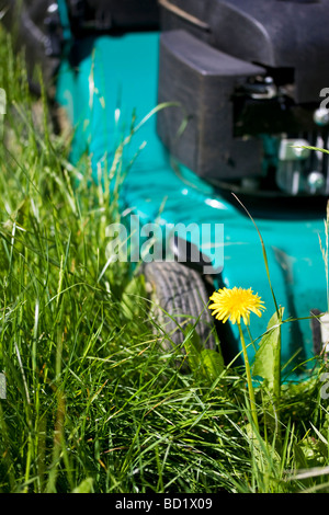 Rasenmäher lange Gras an Sommertag Stockfoto