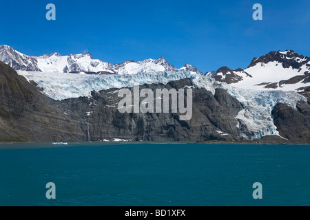 Bertrab hängende Gletscher klammert sich an die Felswand bei Gold Harbour Südgeorgien Antarktis Stockfoto