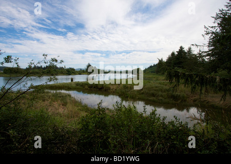 Landung auf der Lewis und Clark River in Oregon in der Nähe von Fort Clatsop Kanu Stockfoto