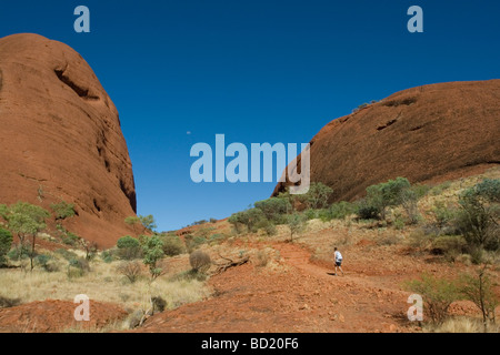 Männliche Wanderer auf Fußweg durch die Olgas (Katja Tjuta), Northern Territory, Australien Stockfoto