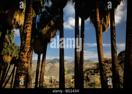 Indian Canyons Andreas Canyon Abschnitt Palm Springs California mit Mutter und Tochter wandern. USA Stockfoto