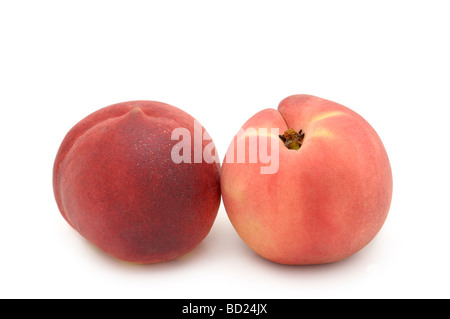 Paar von weißen Pfirsichen, White-konkretisiert Pfirsiche (Prunus Persica) Stockfoto