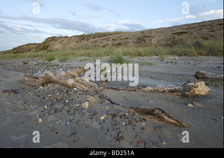 Seelandschaft aus Leaso, Dänemark Stockfoto