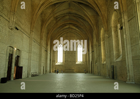 Audienzsaal im Palais des Papes, der Papstpalast in Avignon, Provence, Frankreich, Europa Stockfoto