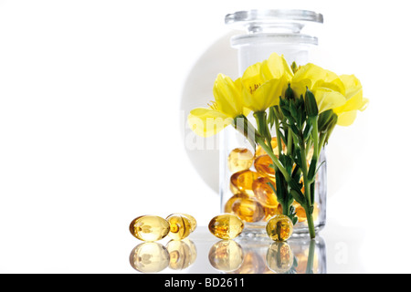 Heilpflanze Common Evening Primrose oder Abendstern (Oenothera Biennis) und Apotheker Flasche mit Kapseln Stockfoto