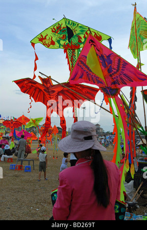 Vietnam-Hersteller des Drachen Stadt Hue Stockfoto
