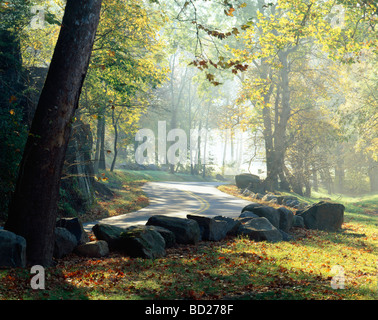 Ende des Sommers Anfang Herbst Sicht auf Straße schlängelt sich durch die Woodlawn Preserve in den Brandywine River Valley Delaware USA Stockfoto