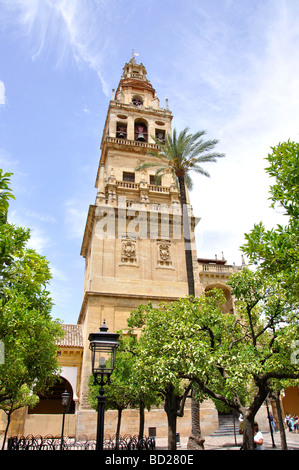 Torre del Alminar Patio de los Naranjos, La Mezquita, Cordoba, Provinz Córdoba, Andalusien, Spanien Stockfoto