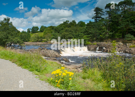 Geringe Kraft auf River Tees, Teesdale, County Durham, England UK Stockfoto