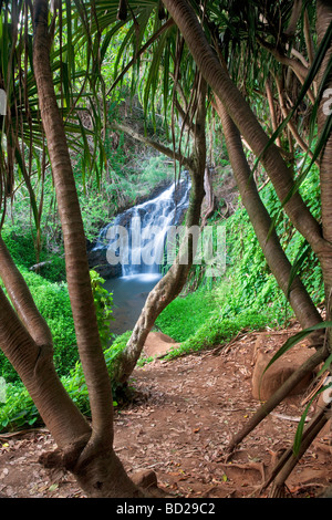 Obere Königin Bad fällt Kauai Hawaii Stockfoto