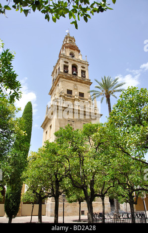 Torre del Alminar Patio de los Naranjos, La Mezquita, Cordoba, Provinz Córdoba, Andalusien, Spanien Stockfoto