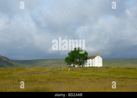 Mann zu Fuß vorbei an traditionellen Bauernhaus, obere Teesdale, County Durham, England UK Stockfoto