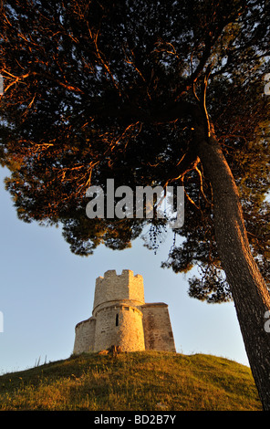 Baum und romanische St. Nicolas Nicola Kirche befindet sich auf irden Hügel in Bereichen der Prahulje in der Nähe von Nin in Dalmatien Kroatien Stockfoto