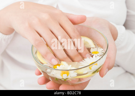 Frau, Hände in Schüssel mit Wasser, Zitrone und Kamille Stockfoto