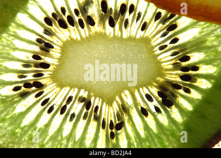 Ein Verbund von hinten beleuchtete Scheiben von kiwi Stockfoto