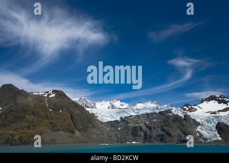 Bertrab hängende Gletscher klammert sich an die Felswand bei Gold Harbour Südgeorgien Antarktis Stockfoto