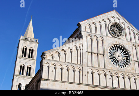 Glockenturm Campanile und Fassade der romanischen Kathedrale von St. Anastasia Katedrala Sv Sto Ije in Zadar Dalmatien Kroatien Stockfoto