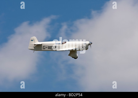 Percival Mew Gull am Breighton Stockfoto