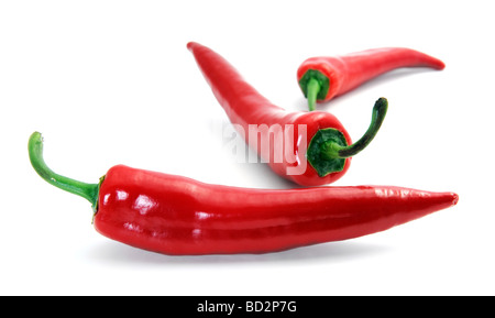 Hot Chili peppers auf weiß Stockfoto