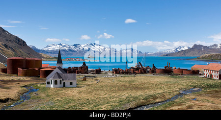 Eisbrecher Kapitan Chlebnikow in Grytviken, Südgeorgien, König Edward Cove, Cumberland Bay Stockfoto