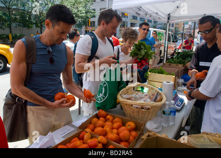 Kunden tanken auf frisches Obst und Gemüse an der Fulton Jugend die Zukunft Youthmarket Stockfoto