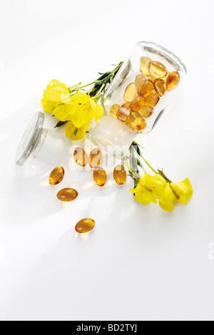 Heilpflanze Common Evening Primrose oder Abendstern (Oenothera Biennis) und Apotheker Flasche mit Kapseln Stockfoto