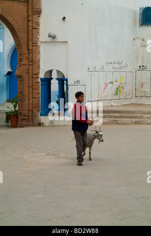 Junge Wandern eine Ziege auf einem Platz in Larache Marokko Stockfoto