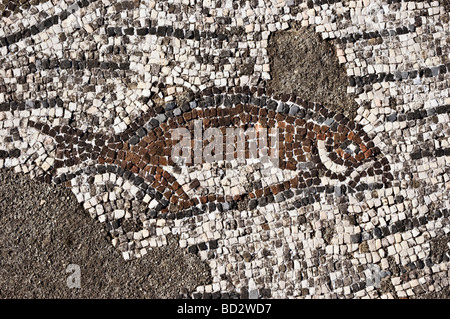 Mosaiken der römischen Villa von Pisoes in der Nähe von Beja Alentejo Portugal Stockfoto