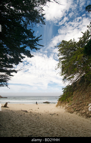 Zustand-Strand Pfeiffer Big Sur, Kalifornien Stockfoto