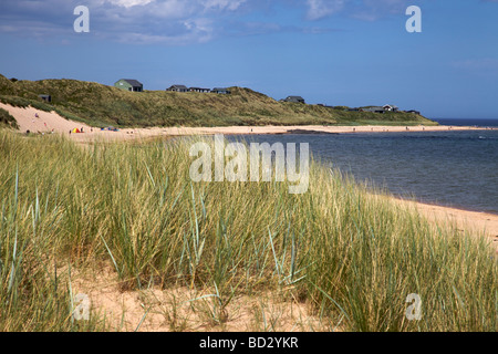 Niedrige Newton von Meer, Embleton Bay, Northumberland, Nordostengland, UK Stockfoto