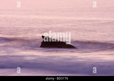 Das Wrack der SS American Star, Playa de Garcey, Fuerteventura, Kanarische Inseln. Januar 2009 Stockfoto