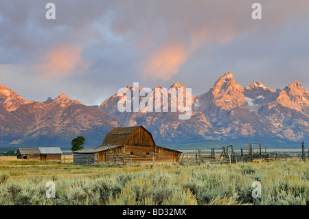 Historische Scheune auf Mormone Zeilen- und Teton Mountain Range Grand Teton Nationalpark Wyoming USA Stockfoto