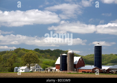 Rote Scheune und Getreide Silos auf einer Farm in Manitowoc County Wisconsin USA Stockfoto