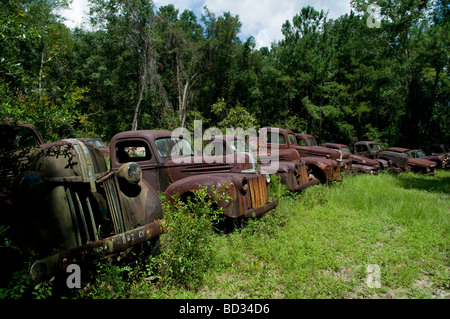 Alte Ford-Fahrzeuge auf der Seite eine Autobahn in Wakulla, Florida Stockfoto