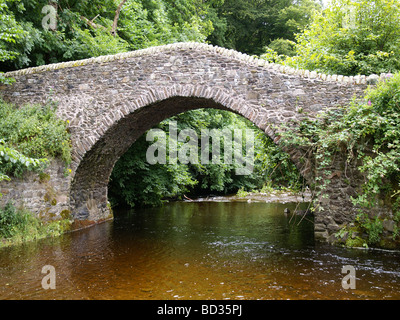 Die Cuddy Brücke alte schmale Stein Brücke über den Fluss Leithen Wasser in Innerleithen auf der alten Straße fuhr. Stockfoto