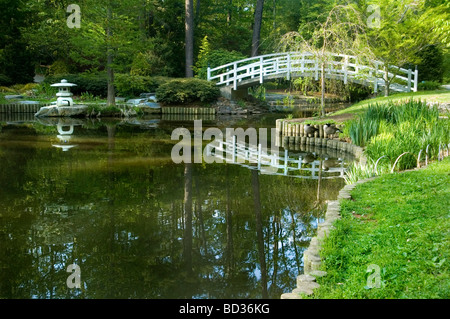 Japanischer Garten Stockfoto