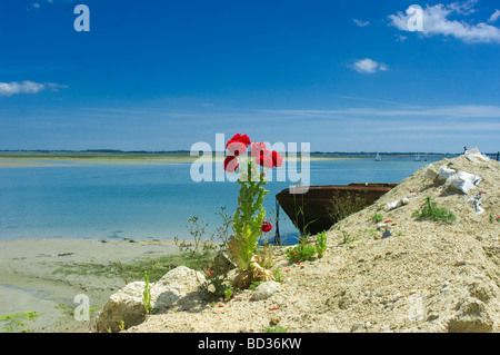 Langstone Harbour Meerblick Stockfoto