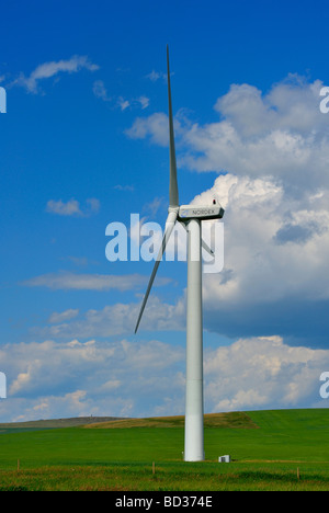 Eine Windturbine in Pincher Creek, Alberta Kanada Stockfoto