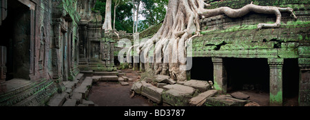 Ein Panorama von der primitiven Tempel Ta Prohm in Kambodscha Stockfoto