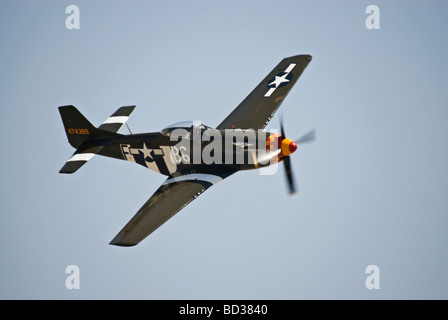 Ein p-51 Mustang fliegt auf einer Airshow, dieser Mustang hat Invasion Streifen gemalt. Stockfoto