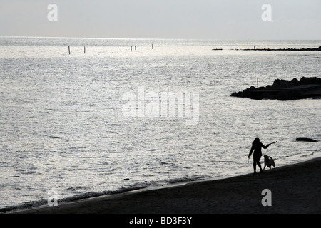 Person mit Hund zu Fuß am Strand in der Abenddämmerung Stockfoto