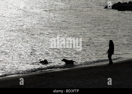Person mit Hund zu Fuß am Strand in der Abenddämmerung Stockfoto