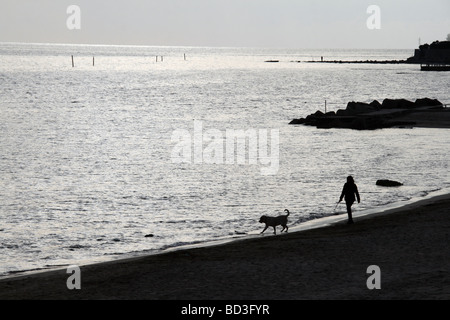Person mit Hund zu Fuß am Strand in der Abenddämmerung Stockfoto