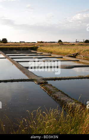 Meer Salz Produktionspools auf der Ile de Noirmoutier in Frankreich Stockfoto